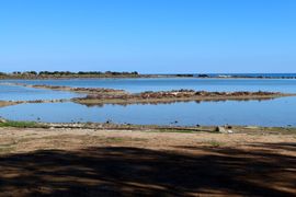 Cypr, Cypr Północny 2025