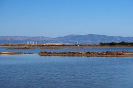 Cypr, Cypr Północny 2025