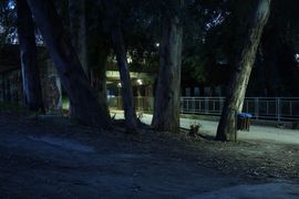 Cypr, Cypr Północny 2025