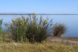 Gruzja cz. zachodnia - 2023