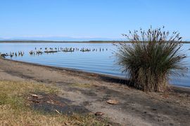 Gruzja cz. zachodnia - 2023