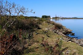 Gruzja cz. zachodnia - 2023