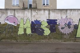 Półwysep Helski - 2017