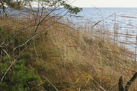 Półwysep Helski - 2017