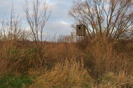 Półwysep Helski - 2017