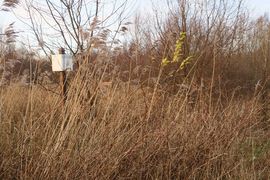 Półwysep Helski - 2017