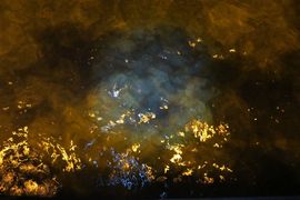 Półwysep Helski - 2017