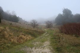 Półwysep Helski - 2017