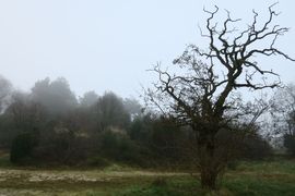 Półwysep Helski - 2017