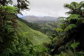 Wyspa Świętej Heleny 2020