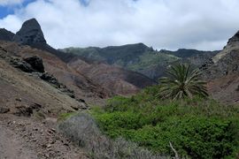 Wyspa Świętej Heleny 2020