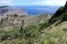 Wyspa Świętej Heleny 2020