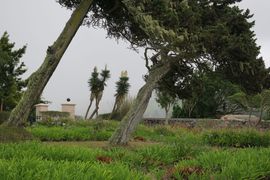 Wyspa Świętej Heleny 2020