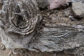 Wyspa Świętej Heleny 2020