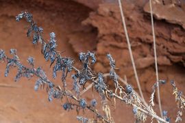 Wyspa Świętej Heleny 2020