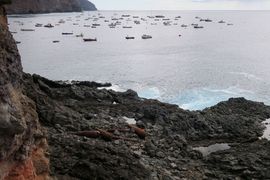 Wyspa Świętej Heleny 2020