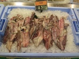 Hiszpania, Gibraltar, Maroko 2014