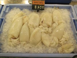 Hiszpania, Gibraltar, Maroko 2014