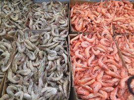 Hiszpania, Gibraltar, Maroko 2014