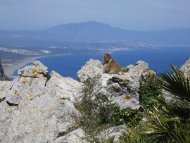 Hiszpania, Gibraltar, Maroko 2014