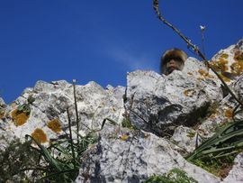 Hiszpania, Gibraltar, Maroko 2014