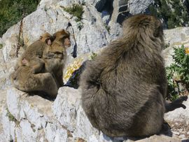 Hiszpania, Gibraltar, Maroko 2014
