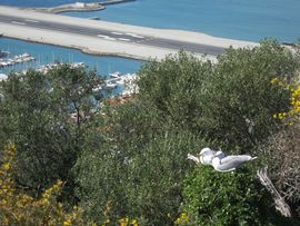 Hiszpania, Gibraltar, Maroko 2014