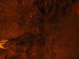 Hiszpania, Gibraltar, Maroko 2014