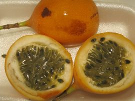 Hiszpania, Gibraltar, Maroko 2014