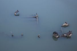 Belgia, Rumunia, Ukraina 2023