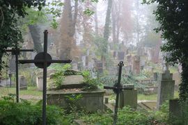 Belgia, Rumunia, Ukraina 2023