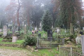 Belgia, Rumunia, Ukraina 2023