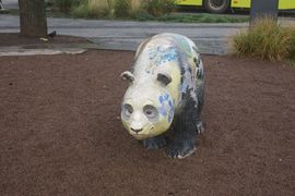 Belgia, Rumunia, Ukraina 2023