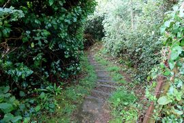 Wyspy Normandzkie 2024