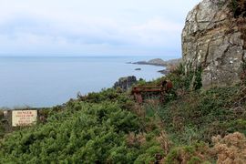 Wyspy Normandzkie 2024