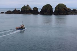 Wyspy Normandzkie 2024