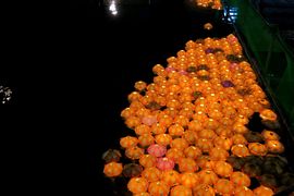 Korea Południowa, Chiny 2016