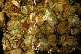 Korea Południowa, Chiny 2016