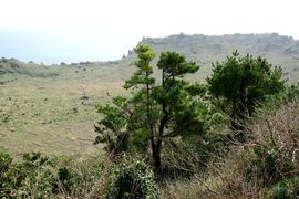 Korea Południowa, Chiny 2016