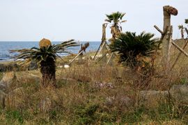 Korea Południowa, Chiny 2016