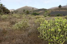 Wyspy Kanaryjskie I - 2017