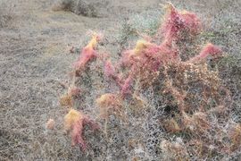 Wyspy Kanaryjskie I - 2017