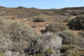 Wyspy Kanaryjskie I - 2017