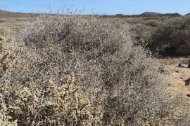 Wyspy Kanaryjskie I - 2017