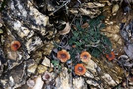 Macedonia Północna 2023