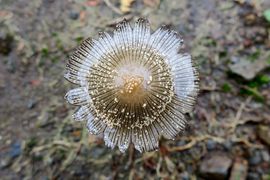 Lizbona, Porto Santo, Madera 2018