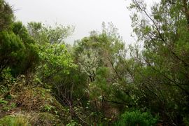 Lizbona, Porto Santo, Madera 2018
