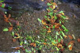 Lizbona, Porto Santo, Madera 2018