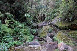 Lizbona, Porto Santo, Madera 2018
