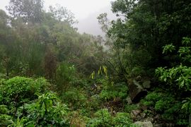Lizbona, Porto Santo, Madera 2018